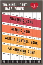 Training Heart Rate Zones Workout Gym Fitness Brown Poster 12x18