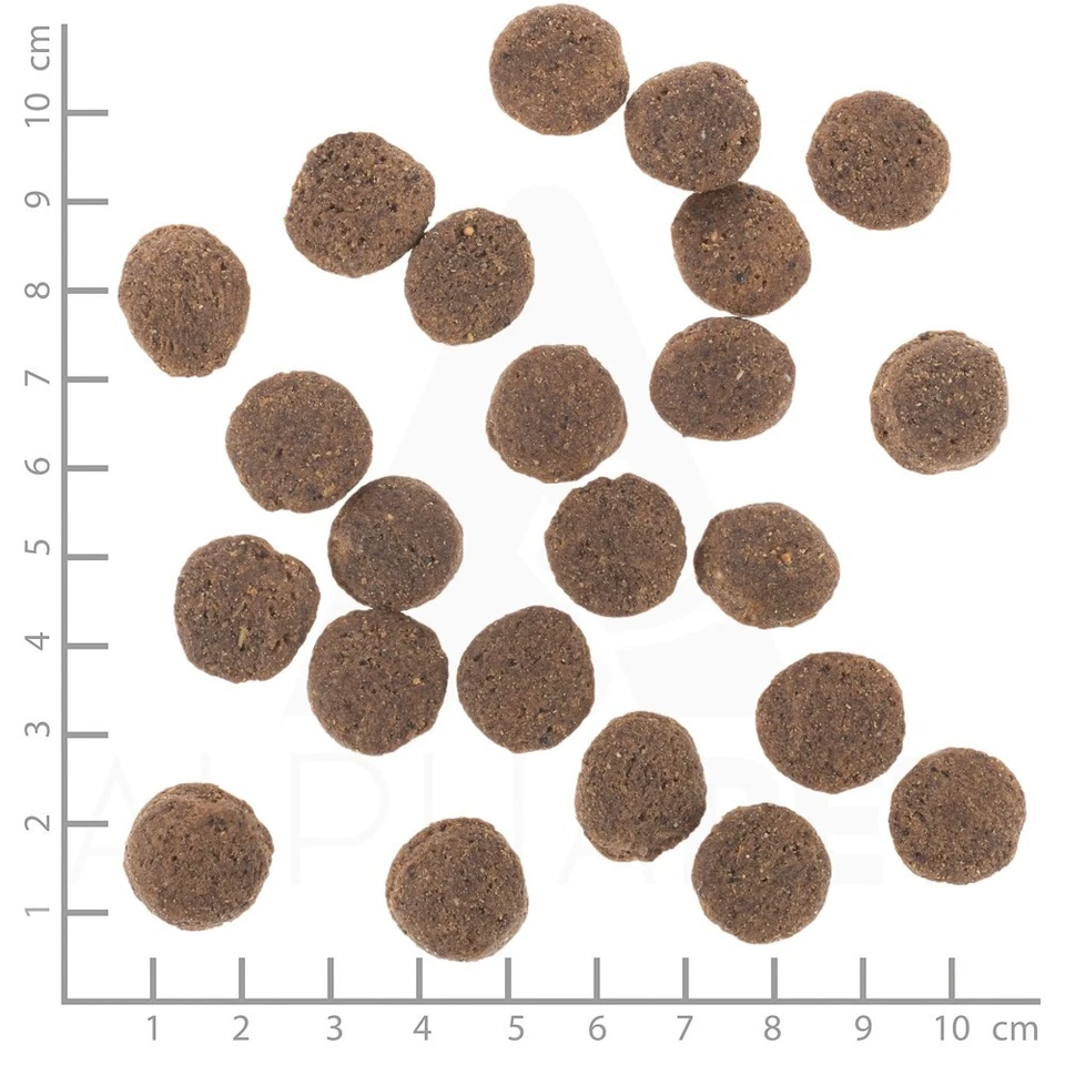 4260603786473 WOLFSBLUT VetLine Hypoallergenic Horse - trockenfutter für Hunde - - Bild 3 von 3