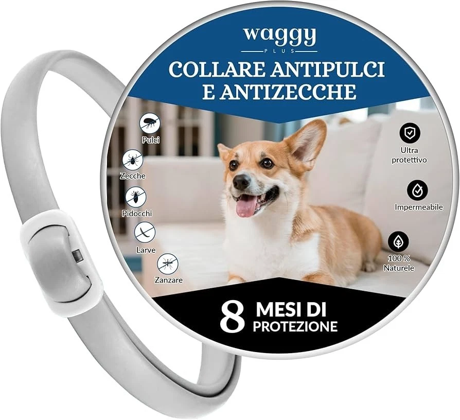 CHAPUIS SELLERIE SLA352 Collare regolabile riflettente per cani - Collare in similpelle