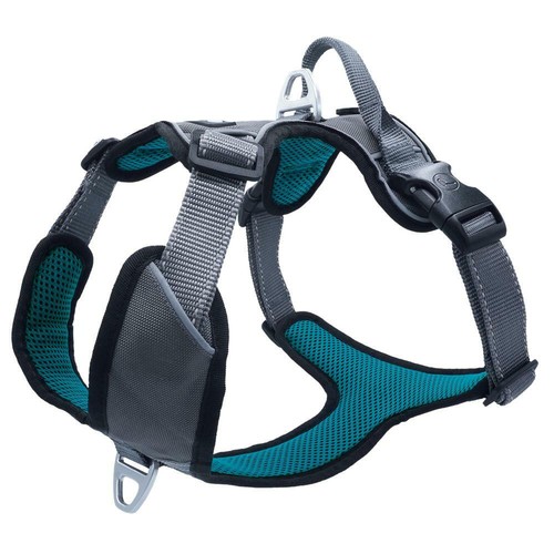 AnnyX Hundegeschirr Fun Braun-Petrol