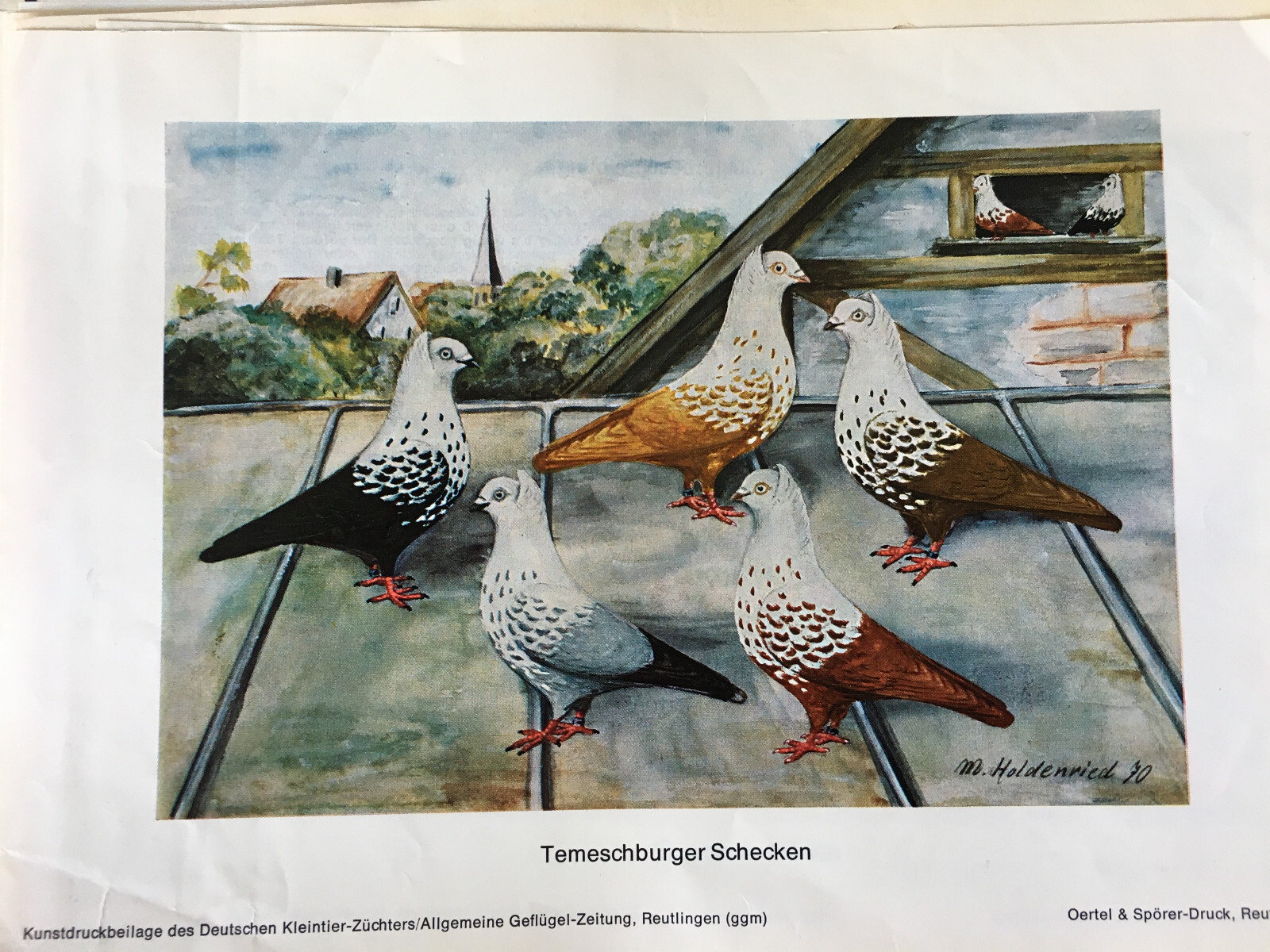 Bild 44 von 44