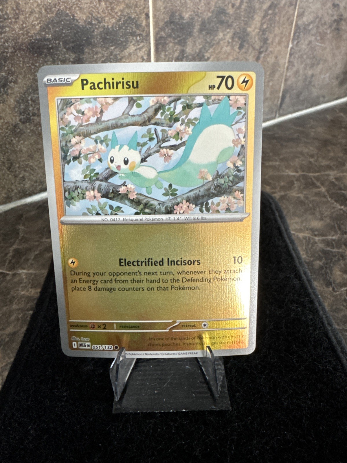 Pokemon Pachirisu (51/189) Mega Evolution NM REVERSE HOLO
