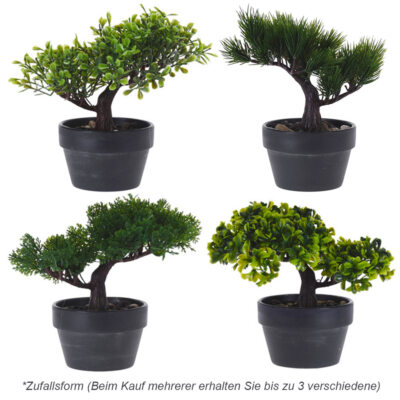 bonsai lorbeerfeige Ficus microcarpa 'Ginseng' Bonsai kaufen main image 0