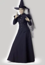 Wicked Witch Halloween costume with accessories, In Character, Large