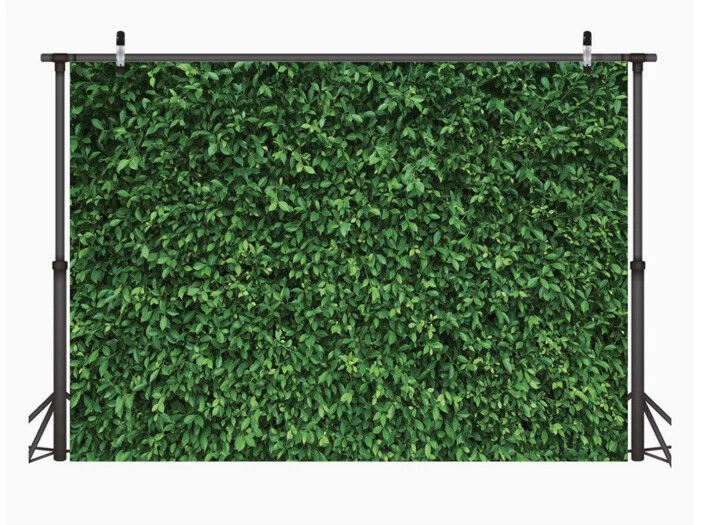 🆕LYWYGG 10x8FT Hojas Verdes🌿Fotografía Telón de Fondo Microfibra Naturaleza🌿 Foto 2 de 4