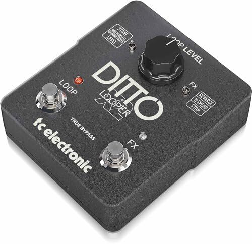 ギター tc electronic DITTO LOOPER TC Electronic | Product | DITTO+ LOOPER