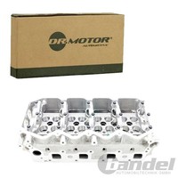 Dr.Motor Zylinderkopf Passend FüR Nissan Cabstar Navara NP300 Pathfinder Pick