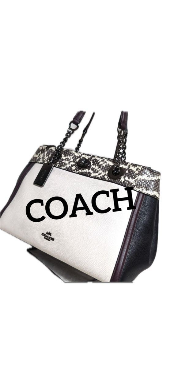 COACH Tote Bag Handbag Multicolor Python Pattern … - image 1