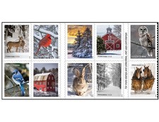 2020 Winter Scenes Forever USA Stamp Booklet, Multicolor