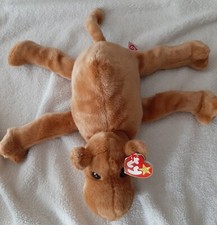 Beanie Babies Humphrey the Camel. All Tags and Protector 