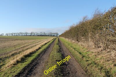 Foto 12x8 Spur zur Sweed Beet Plantage Croxby Top c2013