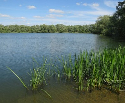Foto 6x4 Drayton Lagune, Fen Drayton Lakes Eine offene ehemalige Kiesgrube, go c2017