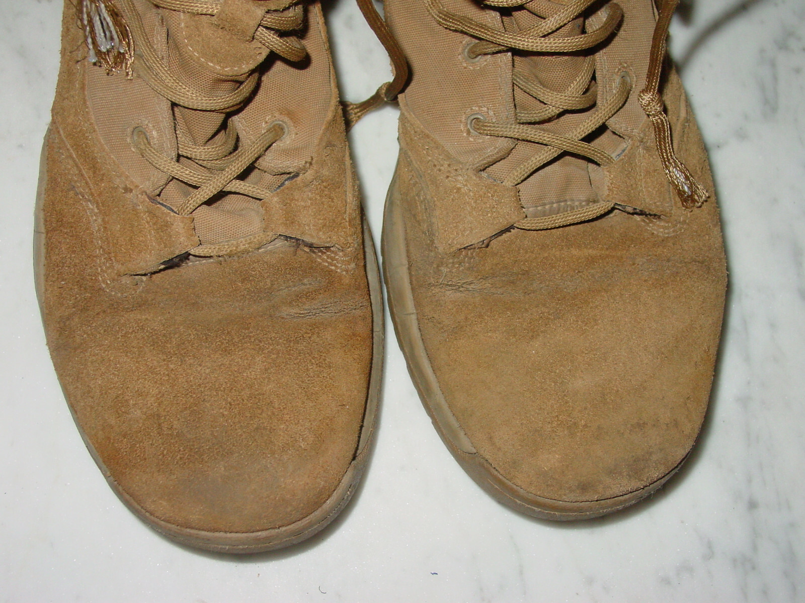 sfb field 8 coyote gen 1