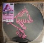 READY TO SHIP! Madonna Confessions II Grindr Exclusive Picture Disc Vinyl SEALED