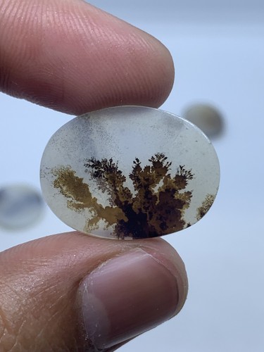 Dendritic Agate Cabochon Natural Dendritic Agate Gemstone Cabochon Shazar Agate - Picture 4 of 4