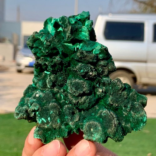 197G Natural tortoise Malachite transparent cluster coarse mineral sample - 第 8/24 張圖片
