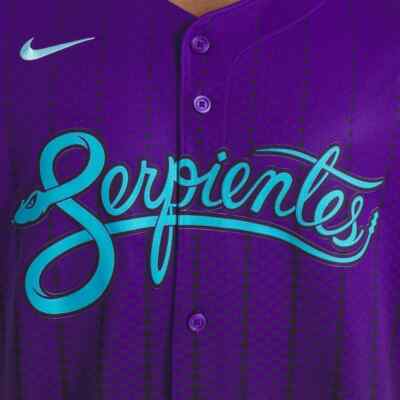 Arizona Diamondbacks Nike 2025 City Connect Limited Team Jersey