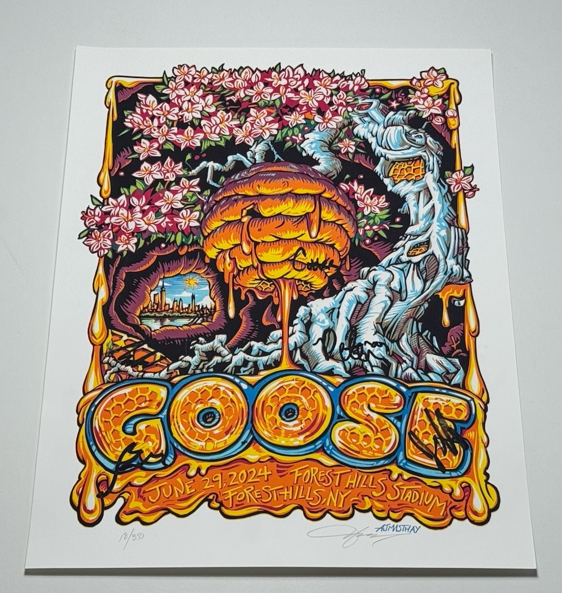 Goose The Band Poster Forest Hills Queens NY 24 Official #'d