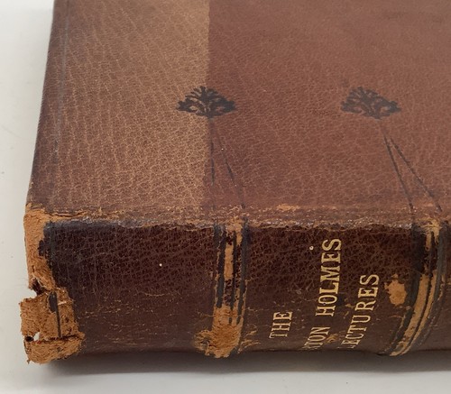 The Burton Holmes Lectures Vol. 5 Autograph Edition #28 Burton Holmes 1901 - Foto 15 di 19