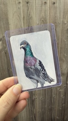 Taubenserie Original ACEO Zeichnung signiert, Vögel Tauben Illustration, Papier