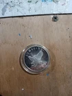One Troy oz Sunshine Eagle .999 Fine Silver Round from Sunshine Minting (lot #3)
