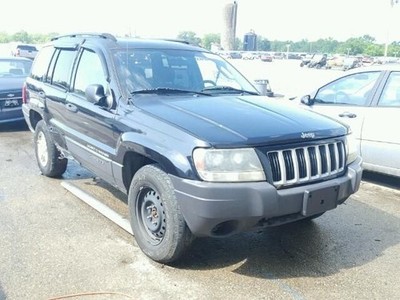 Transfer Case Model 242 Selec-trac 4.0L Fits 02-04 GRAND CHEROKEE 972536