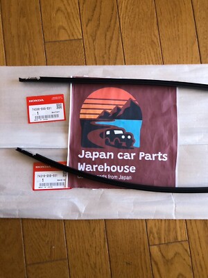Genuine HONDA CIVIC 3DR Hatchback 02-05 EP3 Type-R Roof Side Molding Rh & Lh SET
