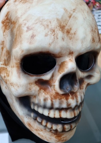 HALLOWEEN FACE MASK UNISEX - Picture 7 of 7