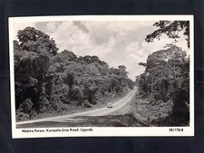 I7689 Uganda Mabira Forest Kampala Jinja Road RPPC vintage postcard
