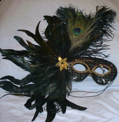 Black Feather Masquerade Ball Mardi Gras Mask
