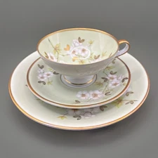 Vintage RKW Bavaria Germany Tea Cup & Saucer Trio Pale Green Gold Trimmed