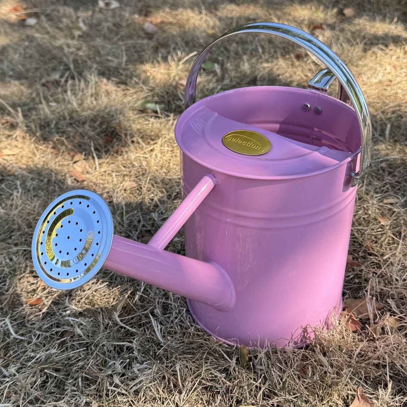 Watering Can Metal Indoor & Outdoor Garden Pink & Chrome with Rose (3.5 Litre)