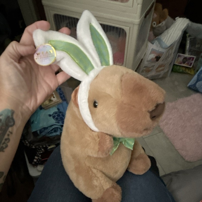 FAO Schwarz Plush cappybara w/ you wear Headband & Green Bow, Sm 14 in (2024)