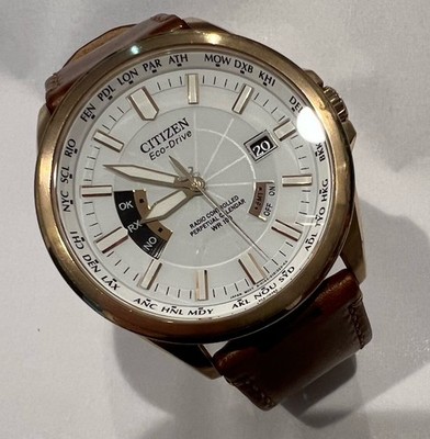 CITIZEN ECO-DRIVE WORLD PERPETUAL H144-S101293 Radio Controlled Sapphire Watch