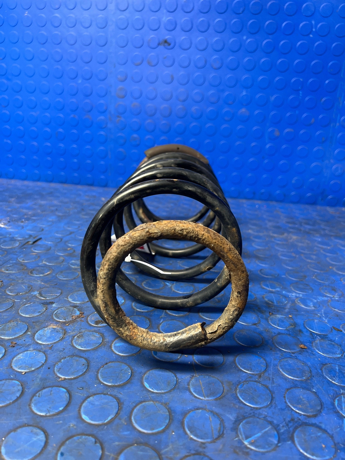 1996 - 2002 Toyota 4Runner Rear Coil Spring 4x4 w/ 16