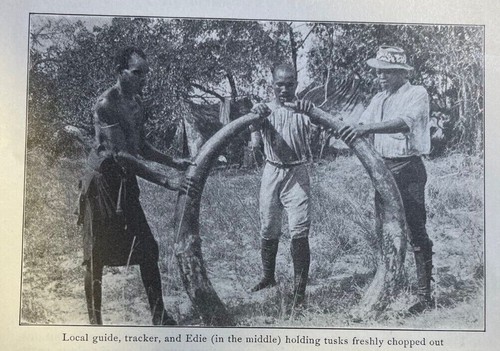 1916 Africa Big Game Hunting Plains of Panda Lorenzo Marques illustrated - Picture 2 of 6