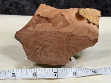 A+ Willow Creek Jasper Slab, Lot#674