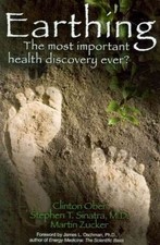 EARTHING: THE MOST IMPORTANT HEALTH DISCOVERY EVER Excellent Condition 