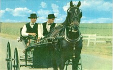 Amish Country, Marshall Dussinger, Wilbur Evans Co., Cleveland, Ohio Postcard