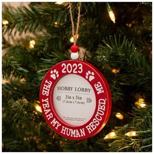 2023 The Year My Human Rescued Me 3"x3" Round Framed Ornament