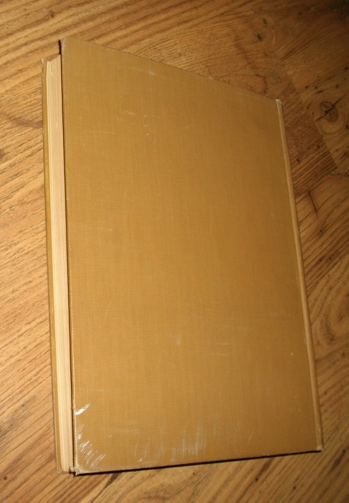 Picture 6 of 6