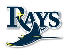 Tampa Bay Rays Precision Cut Decal / Sticker