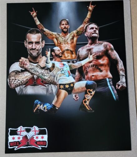 CM Punk AEW Fotografia composita WWE 8x10 - Foto 1 di 2