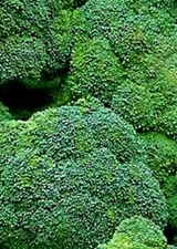  Waltham 29 Broccoli Seeds 500+ SEEDS   NON-GMO --BUY 4 ITEMS FREE SHIPPING