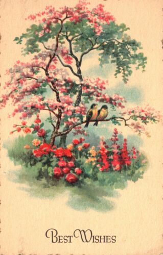 Vintage Postcard Best Wishes Flowering Tree Birds on Twig Garden Greetings Card
