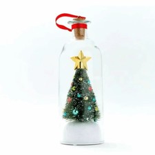 Christmas Tree Message in a Bottle with LED Voice Recording Message Glass Decors