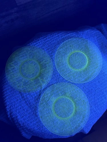 Three Vintage Ballerina Pattern Bread Plates Vaseline Glass