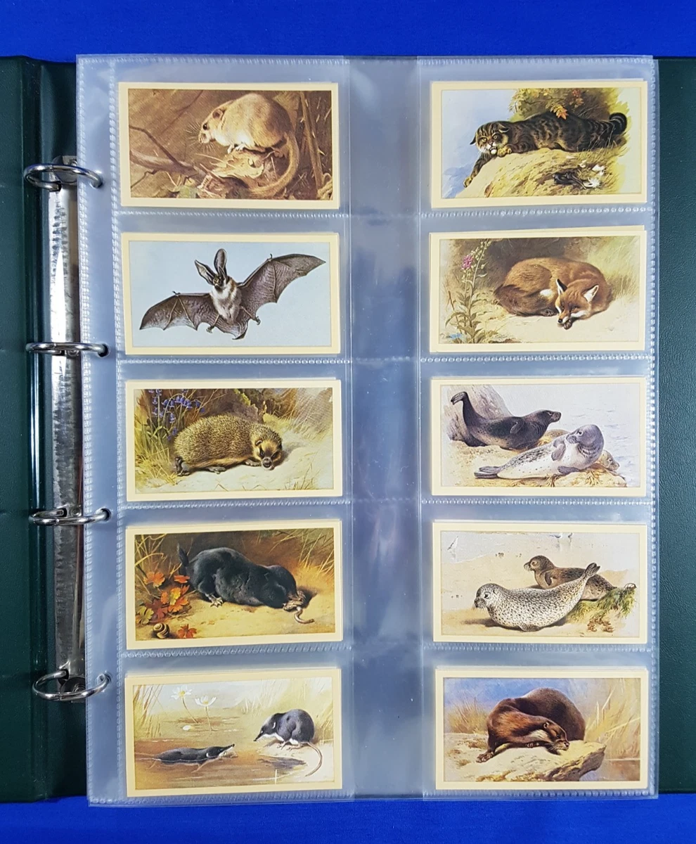 Grandee Cards in Other Collectable Cigarette Cards for sale