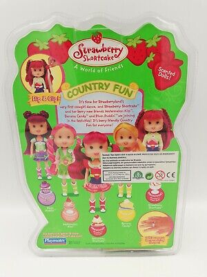 Strawberry Shortcake Country Fun Doll, Playmates 2007 HTF NEW Strawberry Shortcake Country Fun Doll, Playmates 2007 HTF NEW