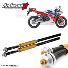HONDA CBR 600 RR 2013-2017 Patrone ANDREANI 115/H01E MISANO EVO